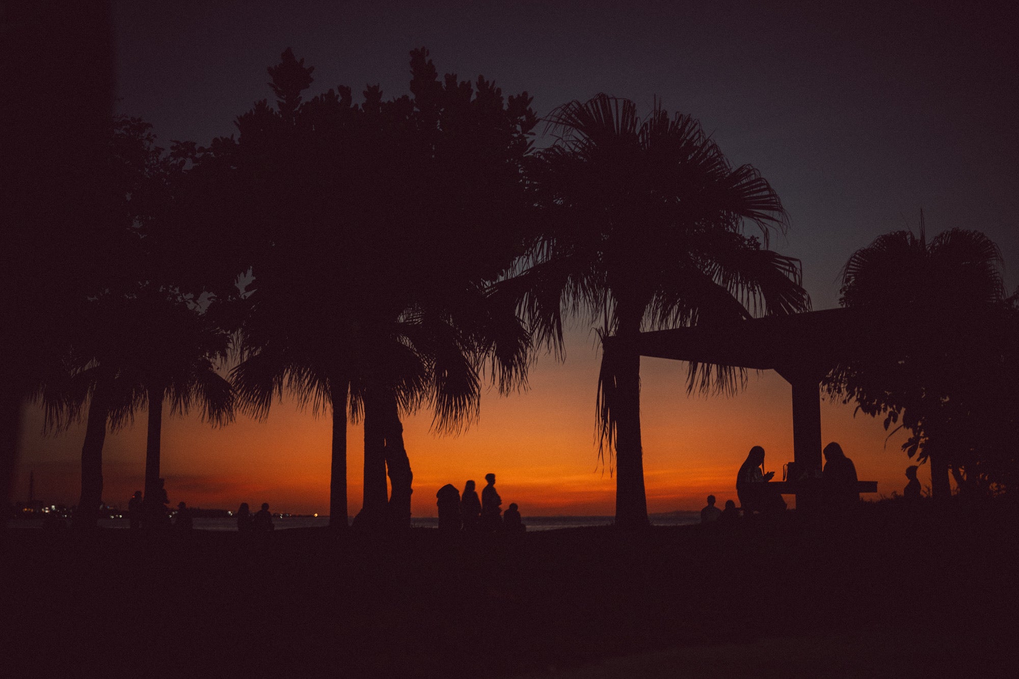 SUNNY C SIDER / OFFICIAL WEB STORE – サニーシーサイダー